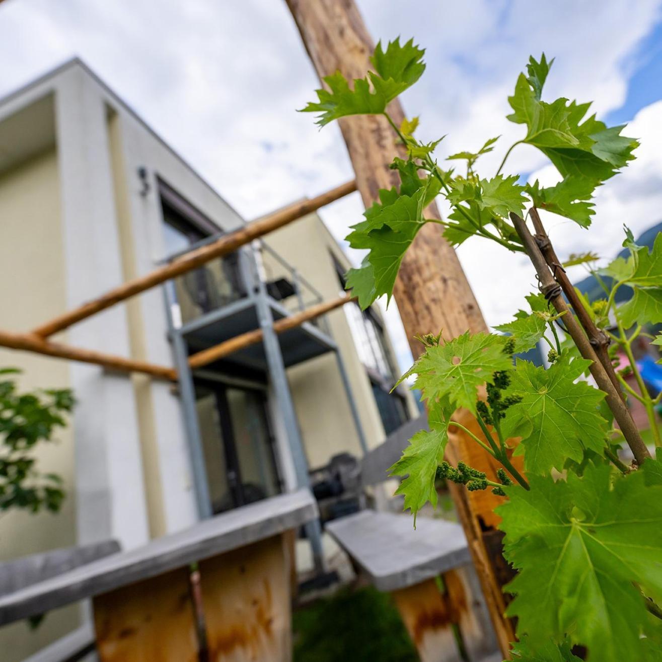 Biohof Gala Naturns Exterior foto